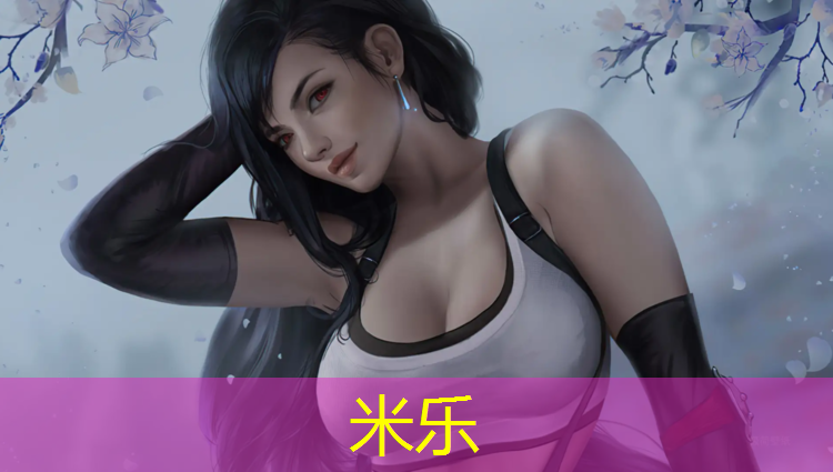 米乐：龙甲款护具跆拳道