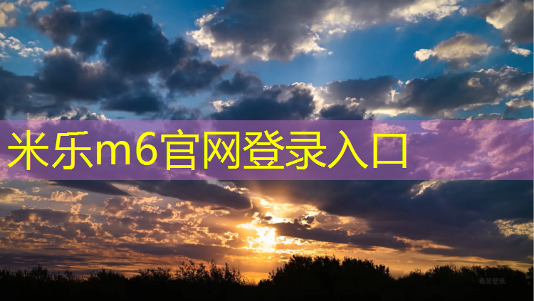 <strong>米乐为您介绍：塑胶跑道井盖</strong>